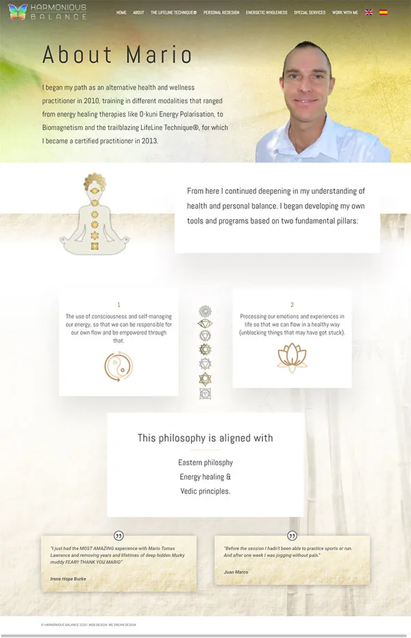 Harmonious Balance: project image 4