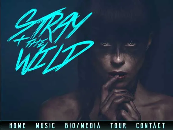 Stray + the Wild: project image 2