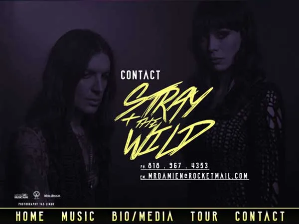 Stray + the Wild: project image 3